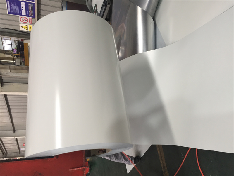 Prepainted Steel Coil 24