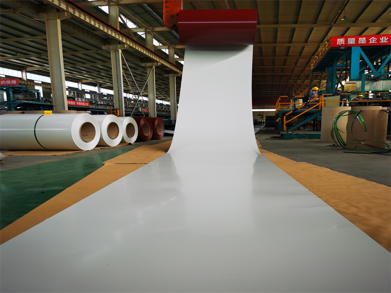 Prepainted Steel Coil 31