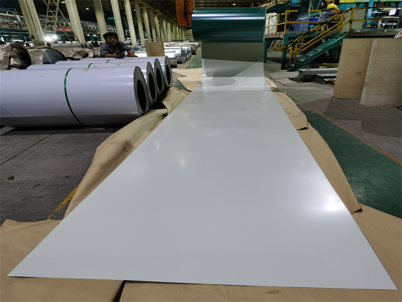 Prepainted Steel Coil 41