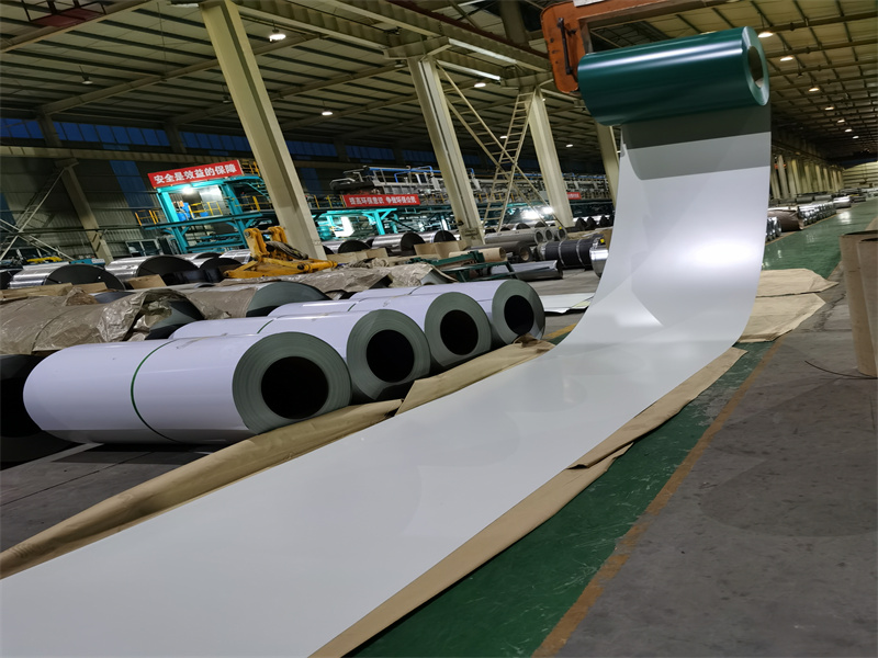 Prepainted Steel Coil 44